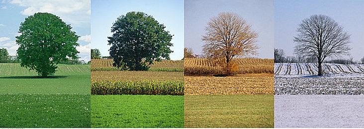 《上古卷轴5：天际》马卡斯城虚幻引擎5版自制视频