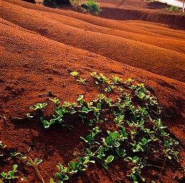 《尼尔：机械纪元》制作人澄清表示海外版游戏并未删减