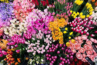 《守望先锋2》新英雄演示 首位泛性恋者角色被吐槽